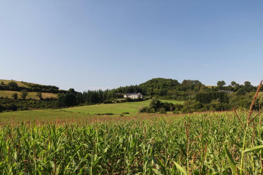 Sassor Village Theux Kültér fotó